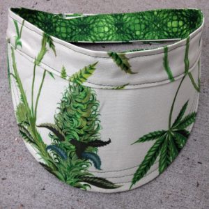 cannabis sativa